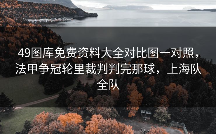 49图库免费资料大全对比图一对照，法甲争冠轮里裁判判完那球，上海队全队