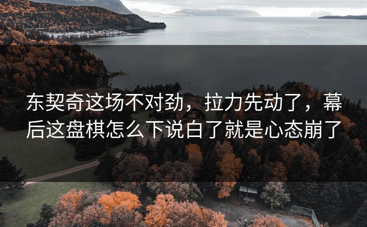 东契奇这场不对劲，拉力先动了，幕后这盘棋怎么下说白了就是心态崩了